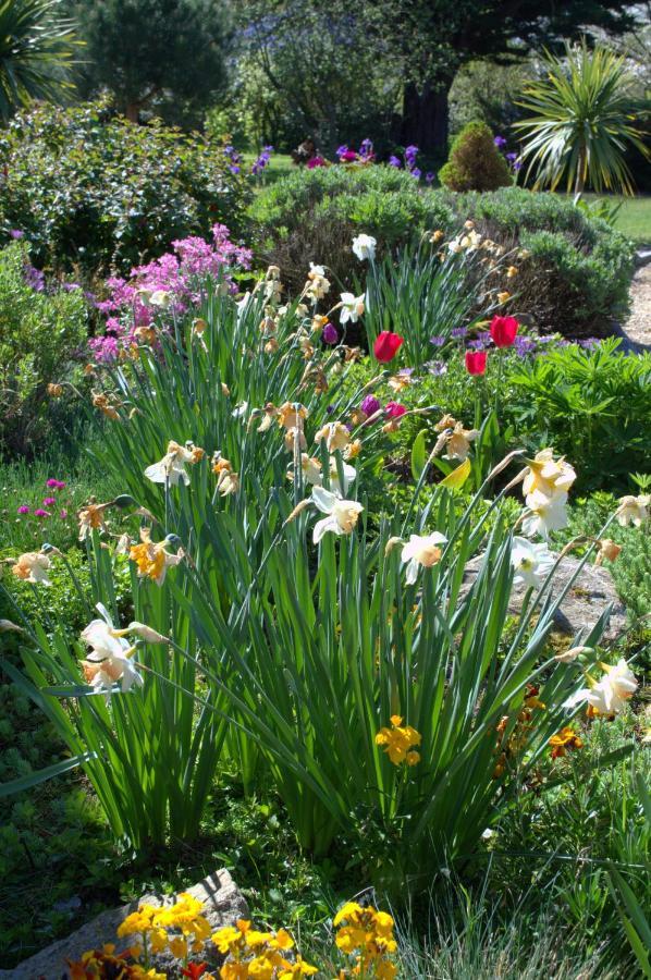 Bed and Breakfast Le Tertre Gatinais Saint-Briac-sur-Mer Exterior foto