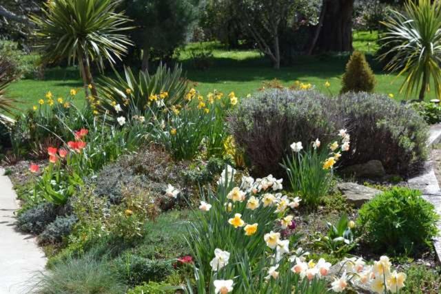 Bed and Breakfast Le Tertre Gatinais Saint-Briac-sur-Mer Exterior foto