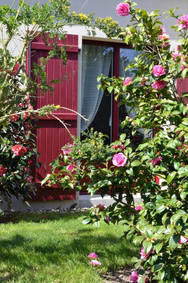 Bed and Breakfast Le Tertre Gatinais Saint-Briac-sur-Mer Exterior foto